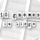 10 Gnomes in Liege spel