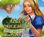 Alice's Wonderland 2: Stolen Souls Collector's Edition spel
