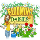Blooming Daisies spel Blooming Daisies spel