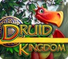 Druid Kingdom spel