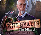 Enigmatis: The Mists of Ravenwood spel