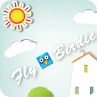 Fly, Birdie spel Fly, Birdie spel