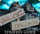Hidden in Time: Looking-glass Lane Strategy Guide spel Hidden in Time: Looking-glass Lane Strategy Guide spel