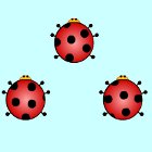 Ladybug Pair Up spel