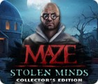 Maze: Stolen Minds Collector's Edition spel