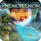 Phenomenon: Meteorite Collector's Edition spel