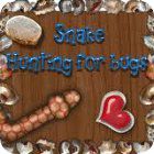 Snake - Hunting for Bugs spel Snake - Hunting for Bugs spel