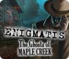 Enigmatis: Mysteriet i Maple Creek game