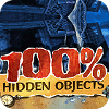 100% Hidden Objects spel