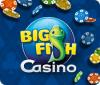 Big Fish Casino spel