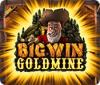Big Win Goldmine spel