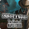 Enigmatis: Mysteriet i Maple Creek spel