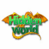 Hidden World spel