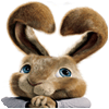 Hop: Easter Bunny Coloring spel
