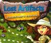 Lost Artifacts Collector's Edition spel