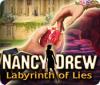 Nancy Drew: Labyrinth of Lies spel