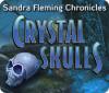 Sandra Fleming Chronicles: Crystal Skulls spel