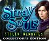 Stray Souls: Stolen Memories Collector's Edition spel