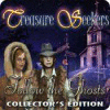 Treasure Seekers: Follow the Ghosts Collector's Edition spel