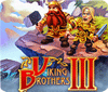 Viking Brothers 3 Collector's Edition spel