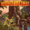Wonderlines spel
